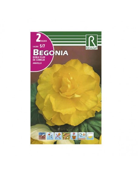 Bulbo begonia doble amarilla