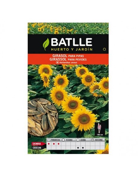 Batlle girasol para pipas