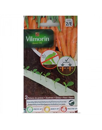 Vilmorin cinta Zanahorias 100 semillas