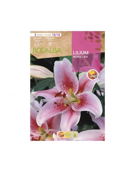 Lilium rosa mona lisa